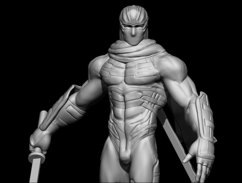Ninja Gaiden - Image 5