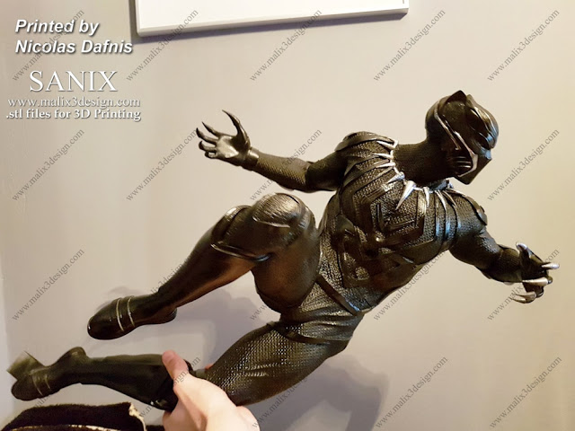 Black Panther - Image 2