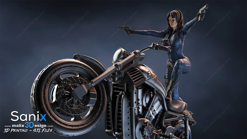 AGENT OF S.H.I.E.L.D STL file for 3D printing