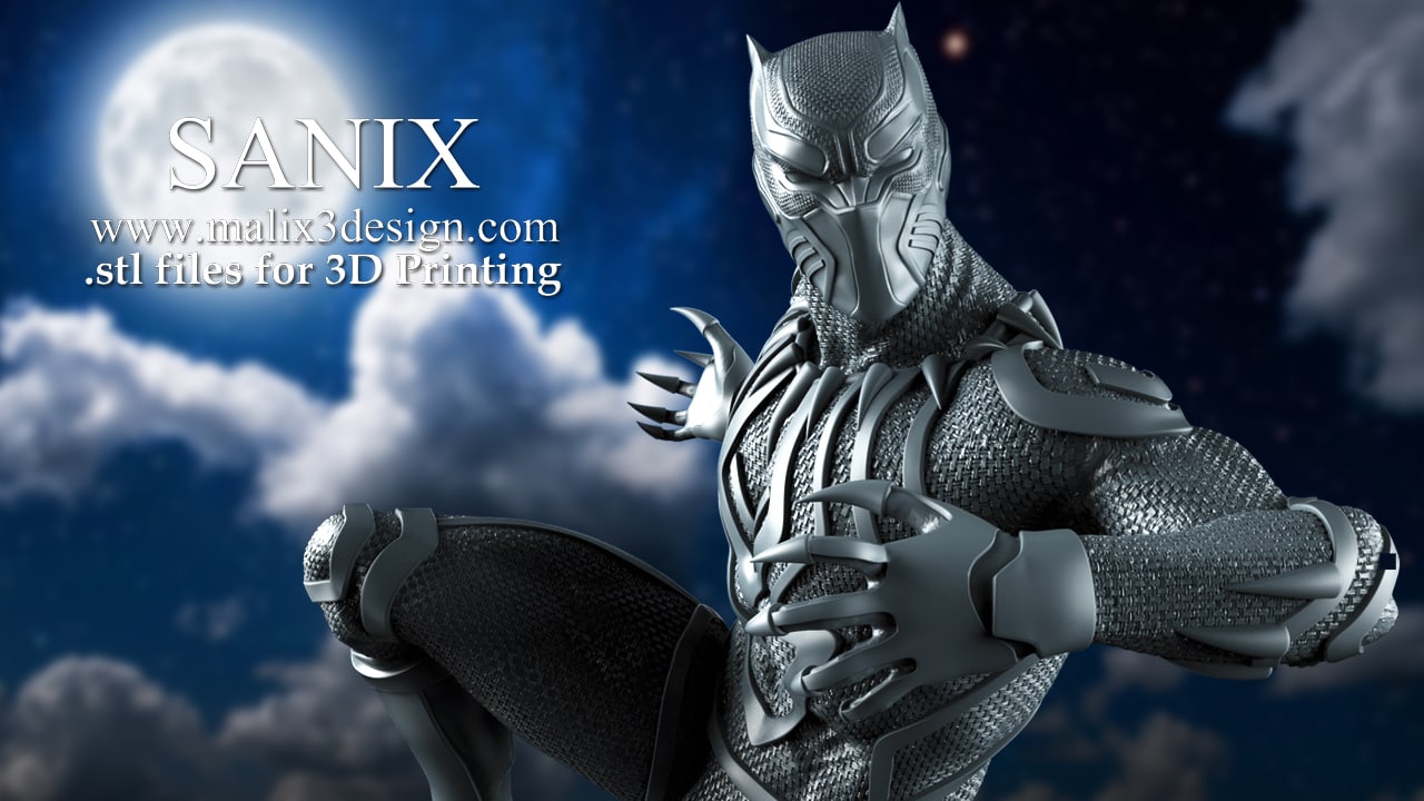 Black Panther - Image 12