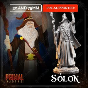 Master of Dungeos Quest Solon Wizard