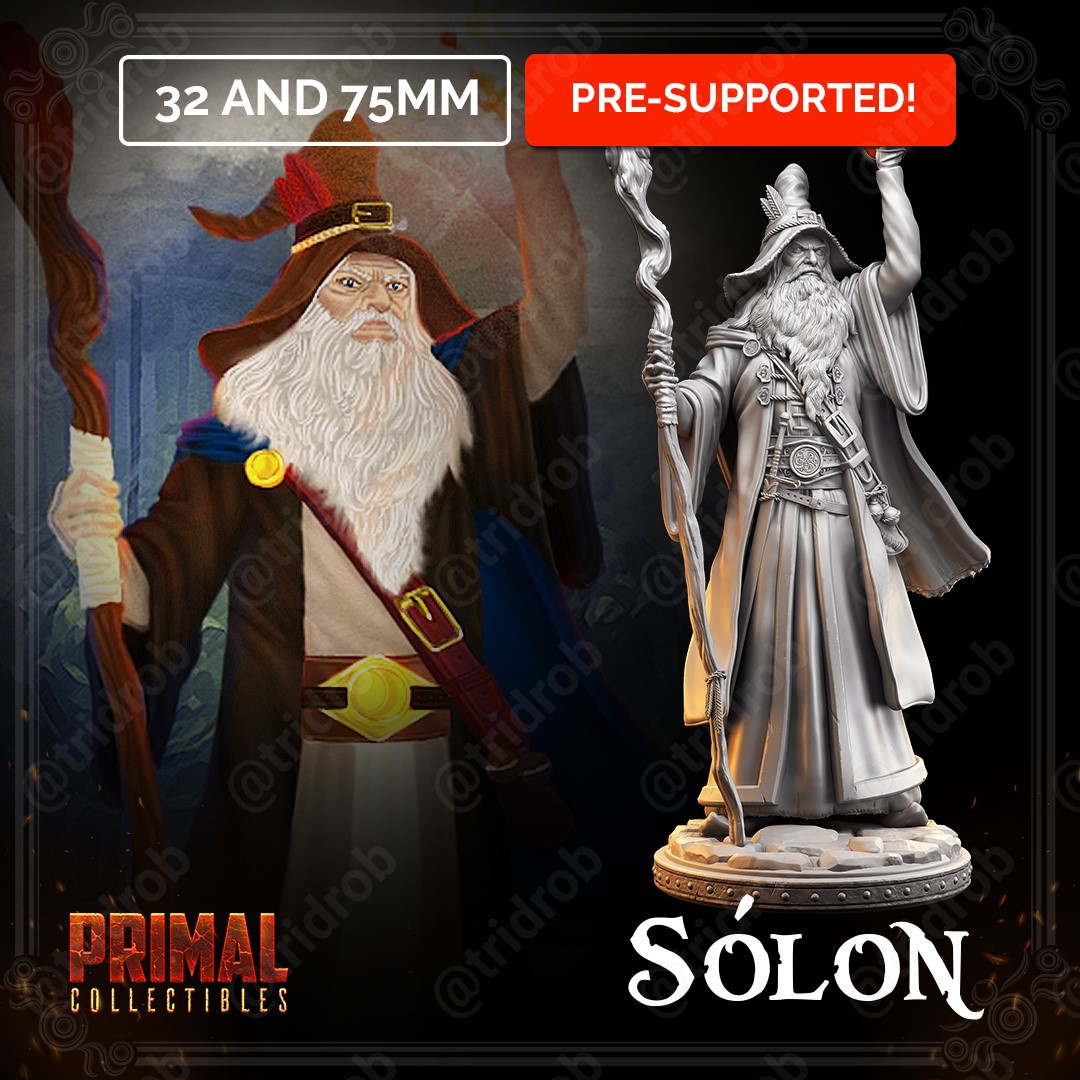 Master of Dungeos Quest Solon Wizard STL file for 3D printing