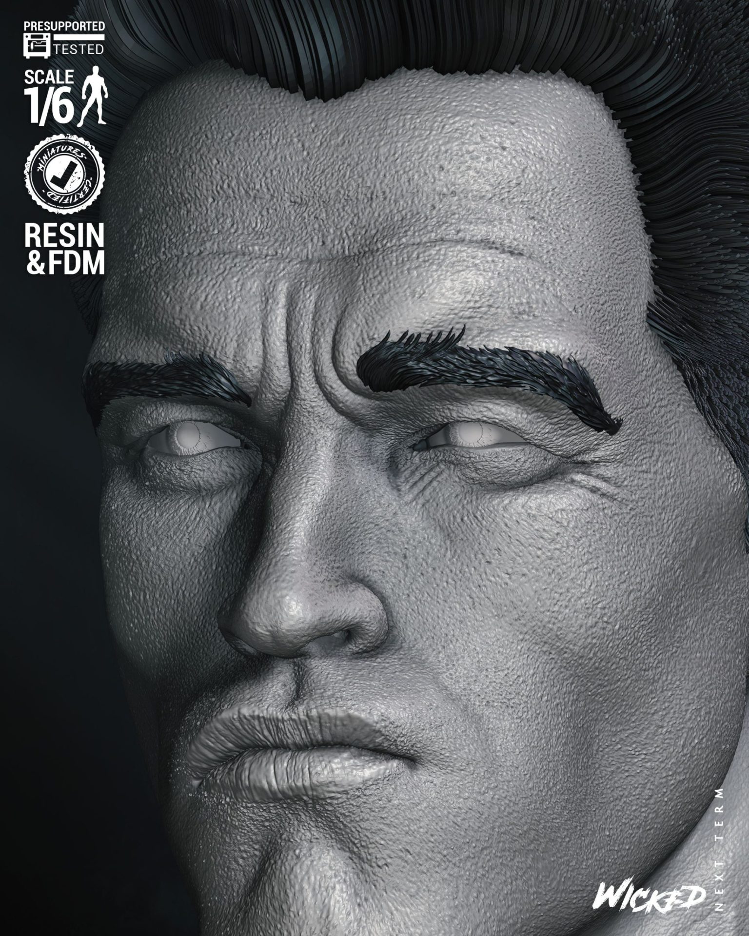 DUTCH PREDATOR - Image 8