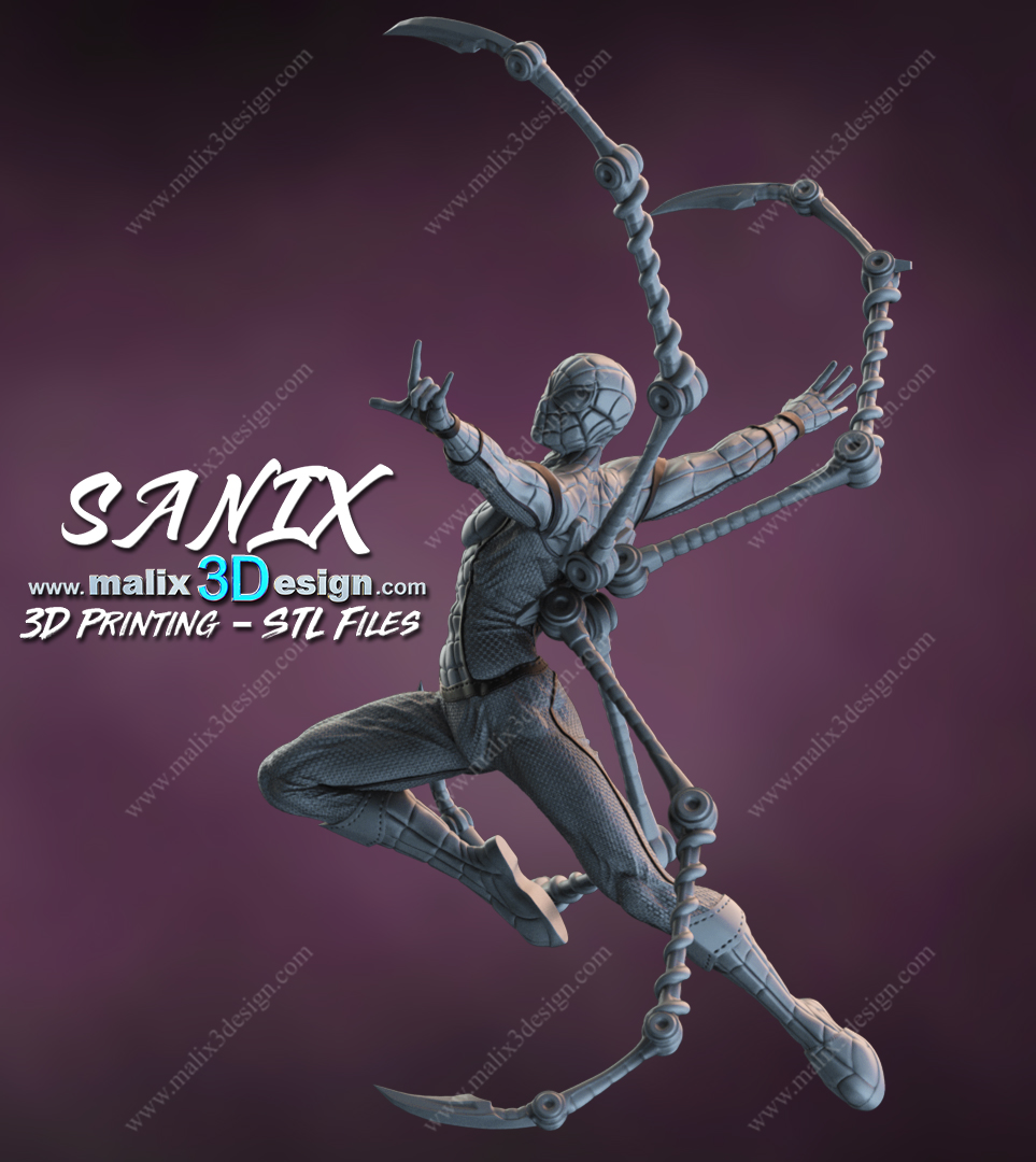 Spider-Man Cadre - Image 13
