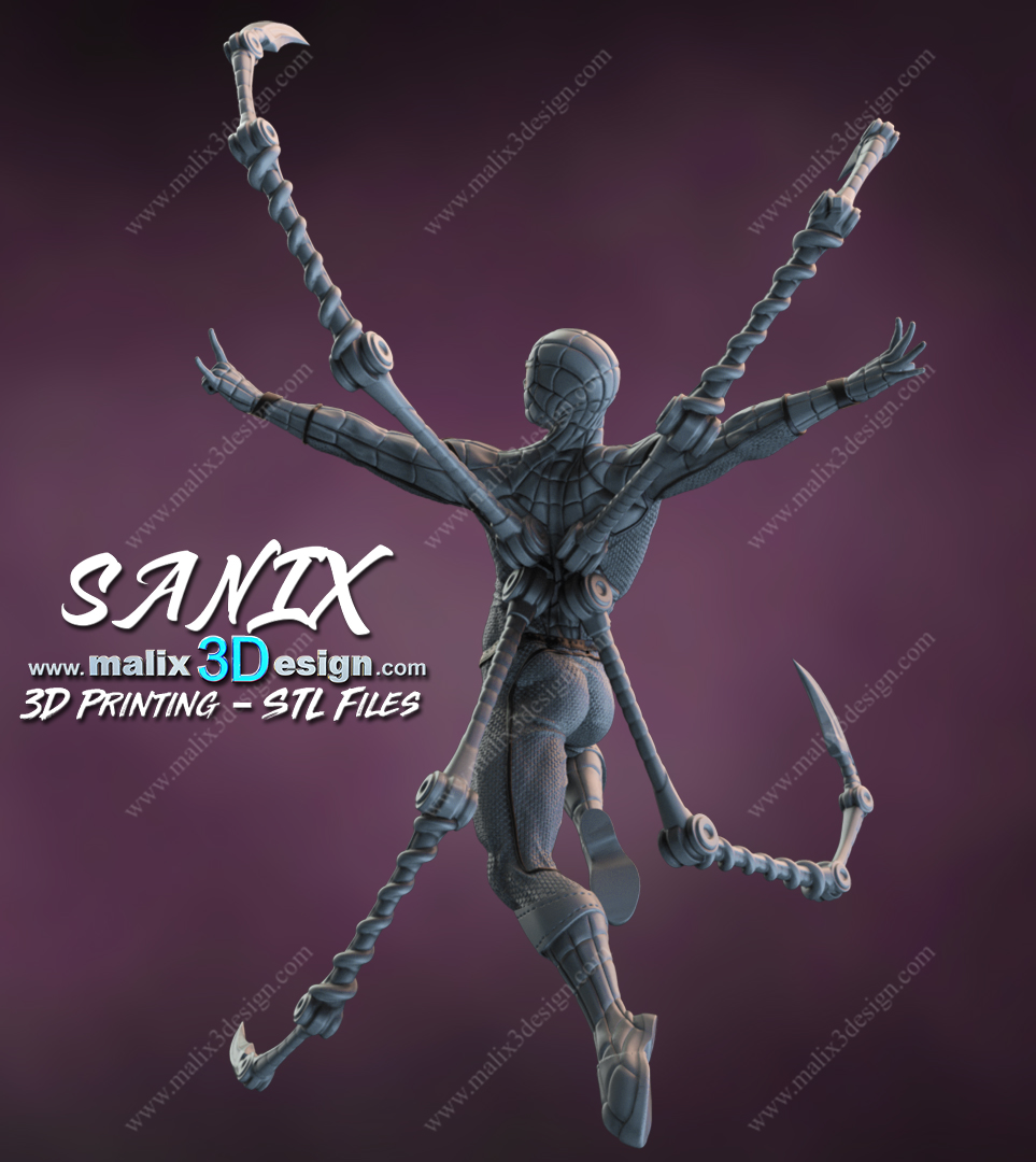 Spider-Man Cadre - Image 14