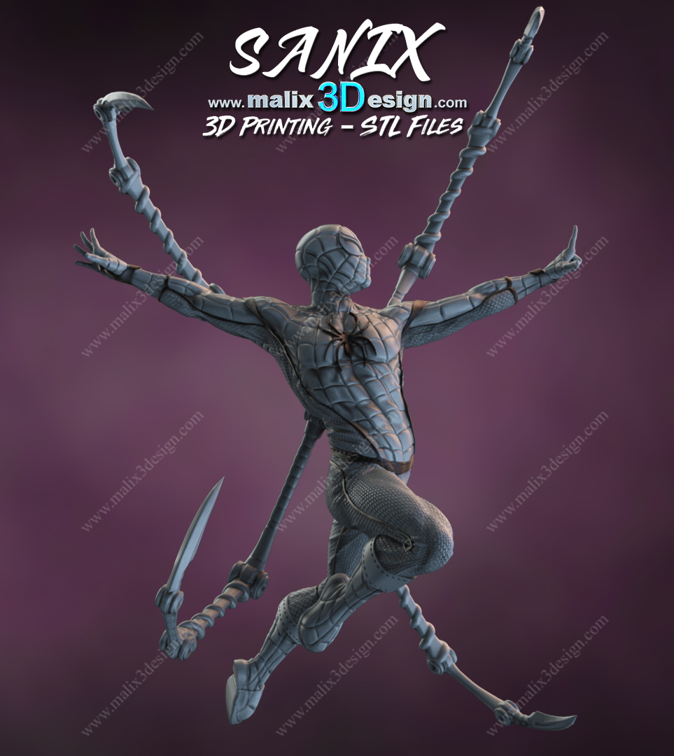 Spider-Man Cadre - Image 15