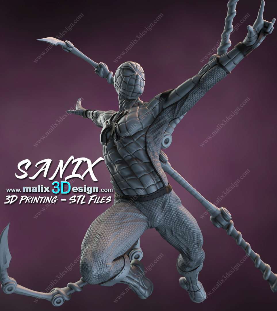 Spider-Man Cadre - Image 16