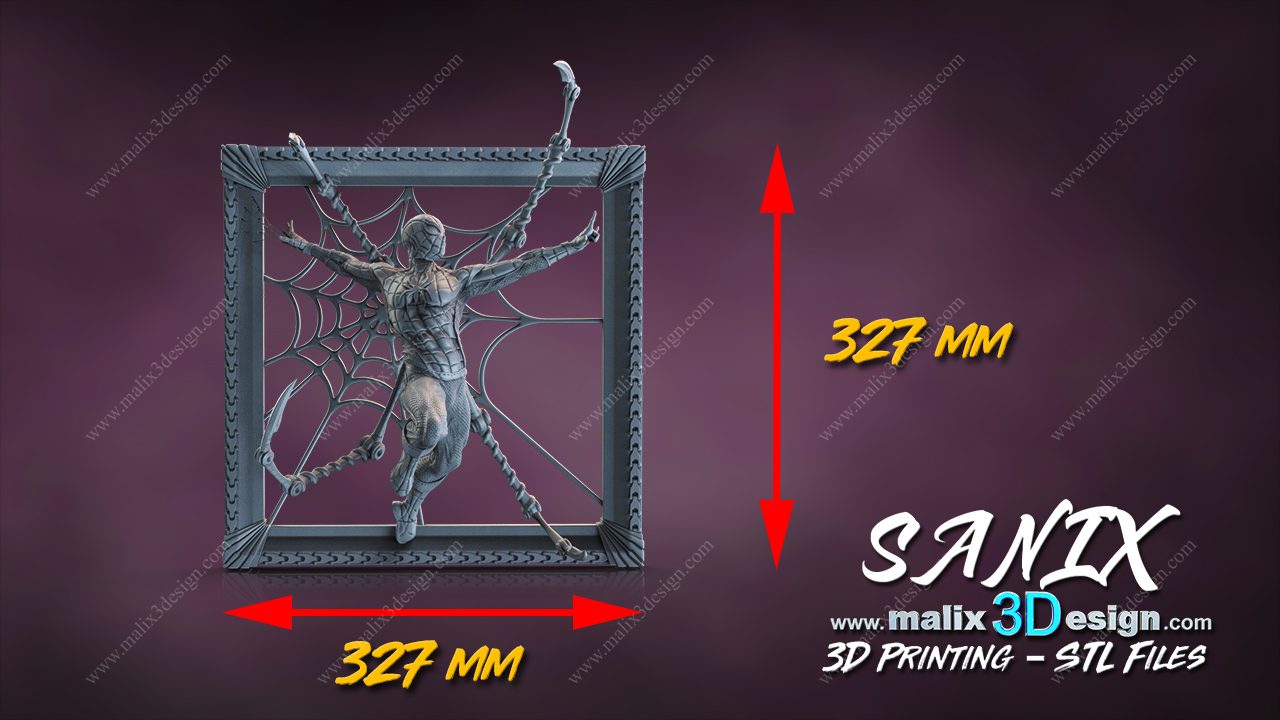 Spider-Man Cadre - Image 19
