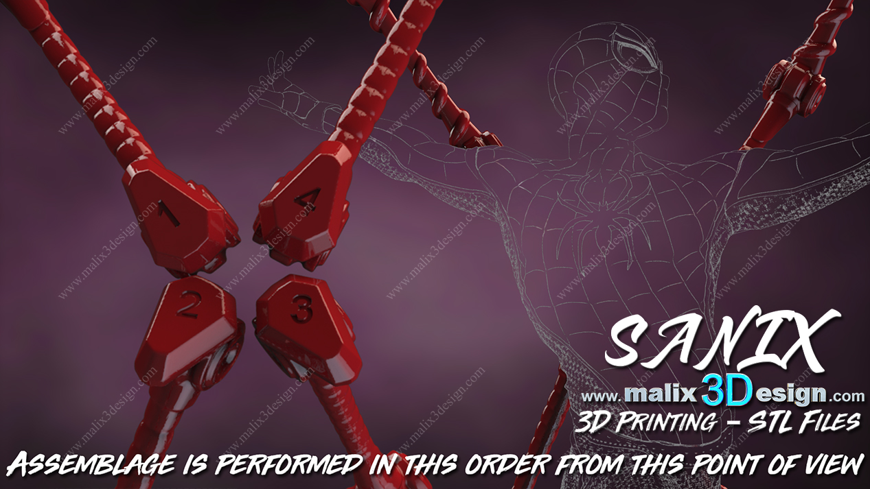 Spider-Man Cadre - Image 5