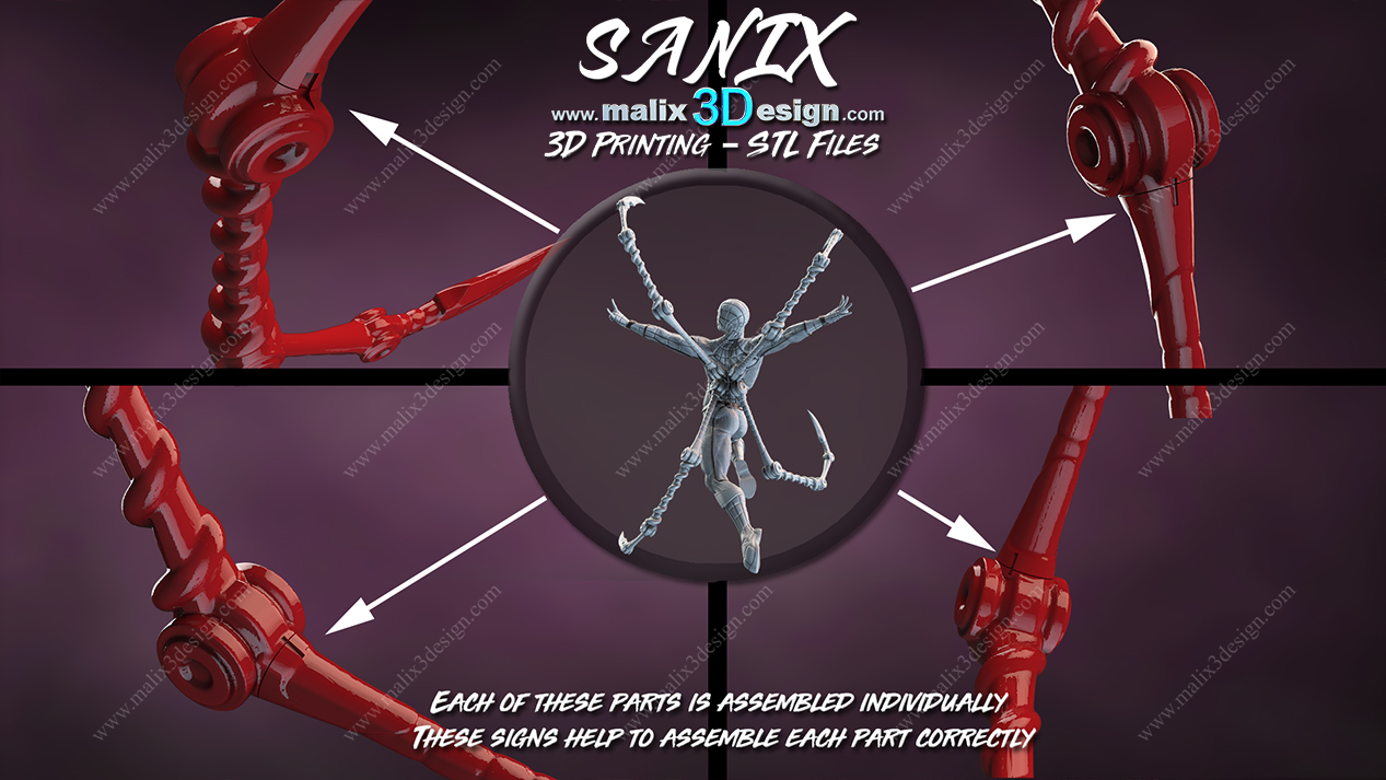 Spider-Man Cadre - Image 6