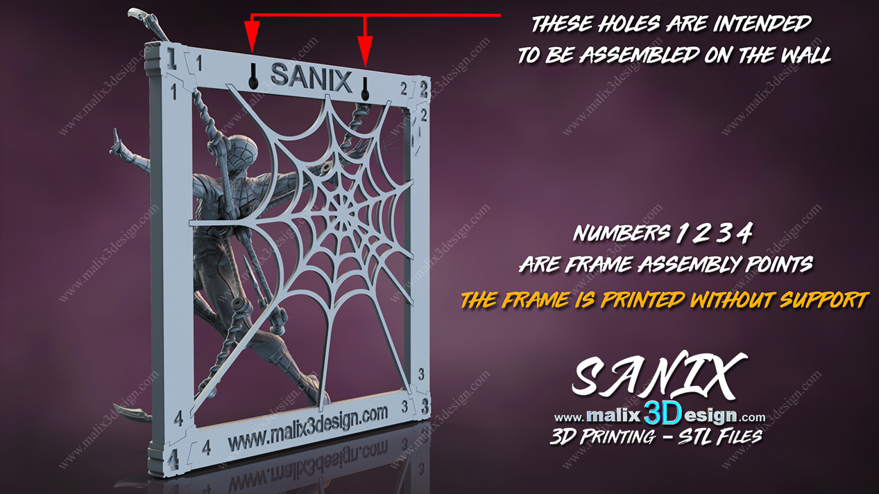 Spider-Man Cadre - Image 7