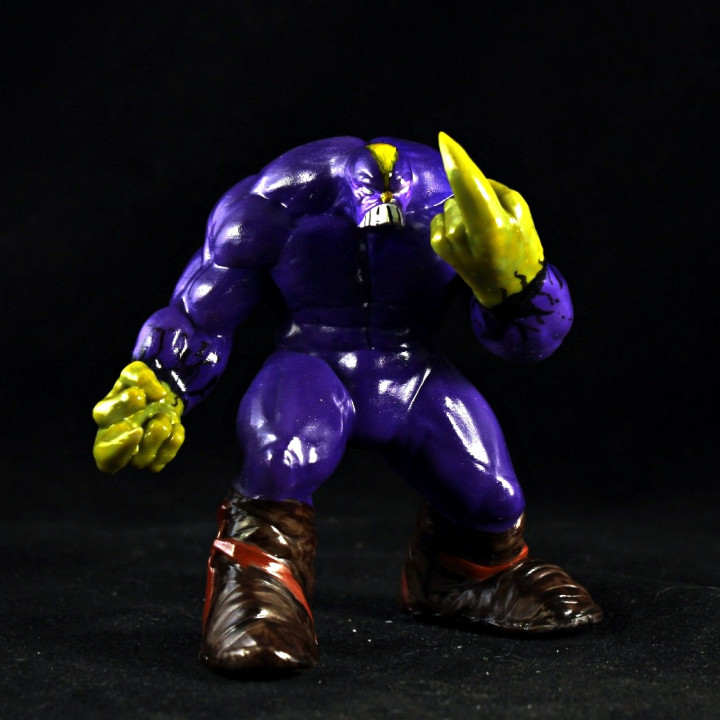 Maxx - Image 4