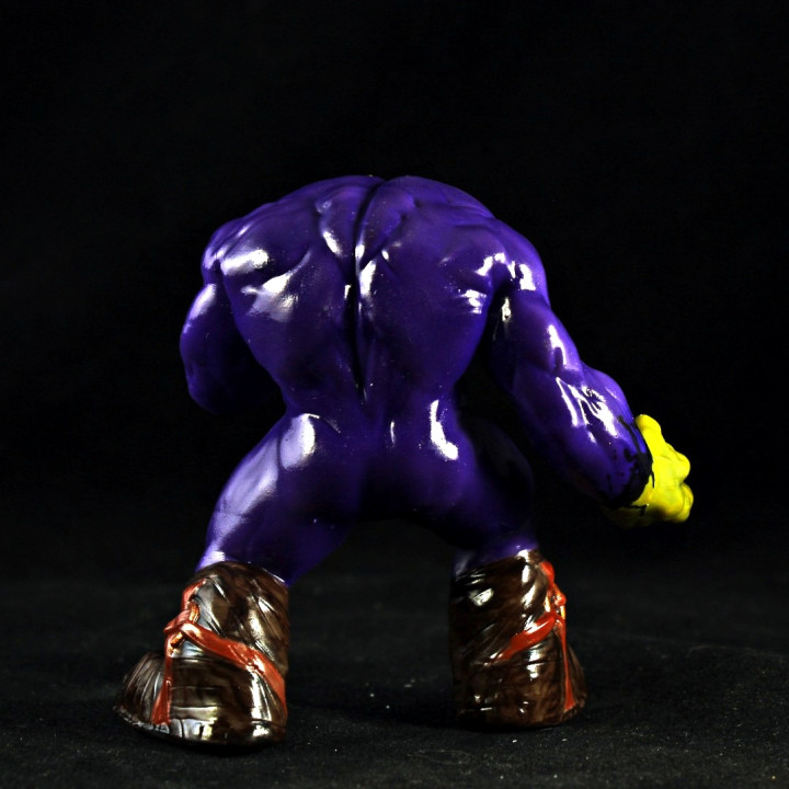 Maxx - Image 6