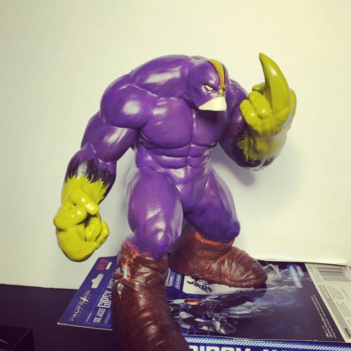 Maxx - Image 8