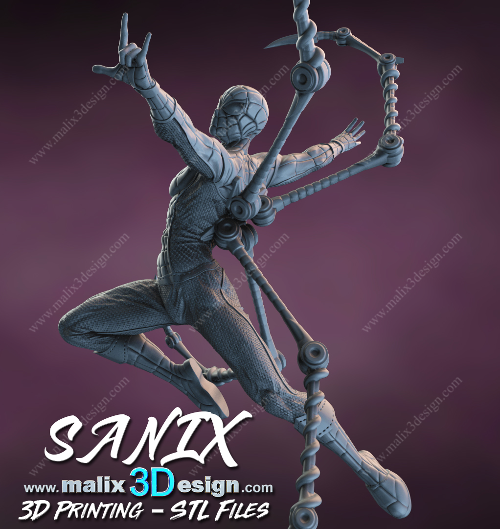 Spider-Man Cadre - Image 10