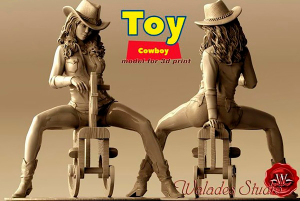 Toy Cowboy