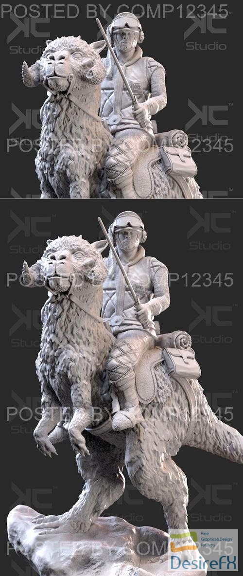 Luke Skywalwer on Tauntaun - Image 2
