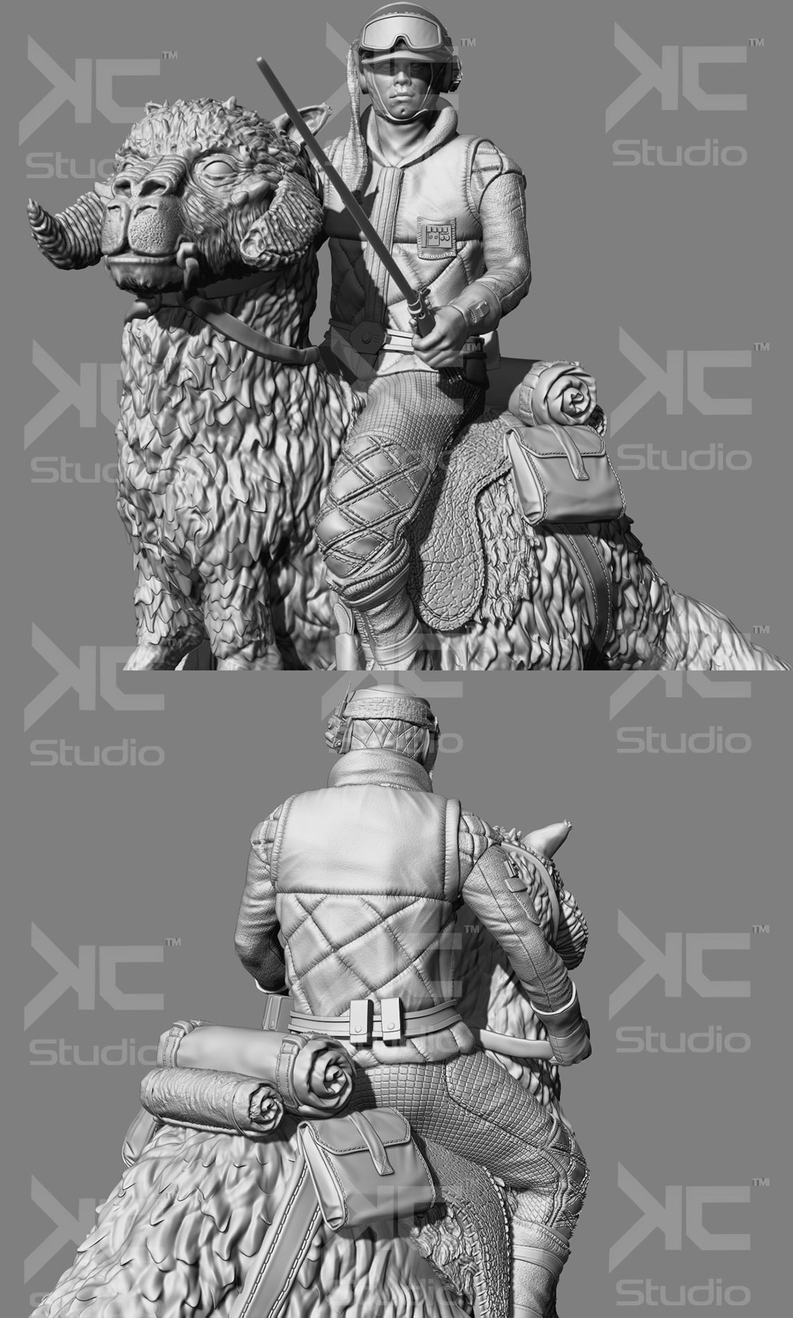 Luke Skywalwer on Tauntaun - Image 12