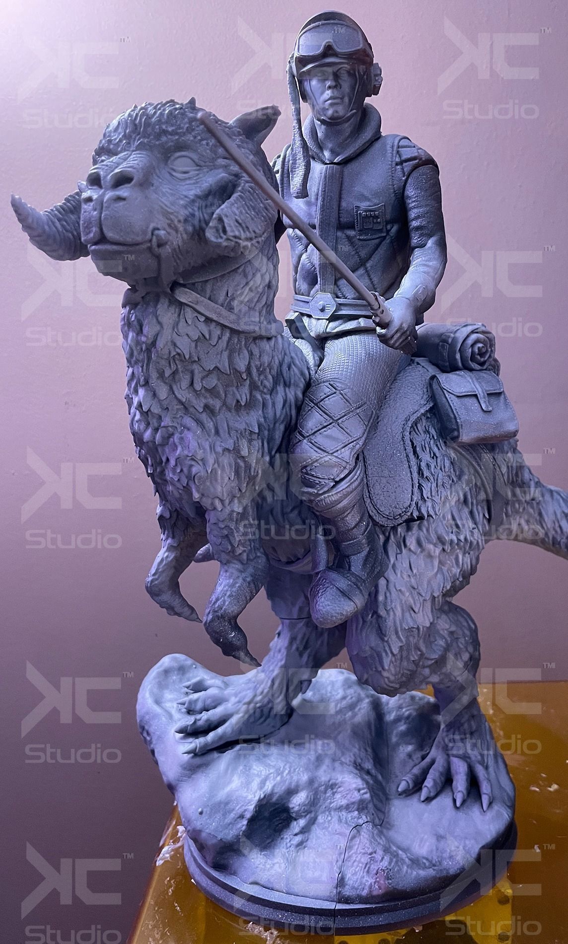 Luke Skywalwer on Tauntaun - Image 5