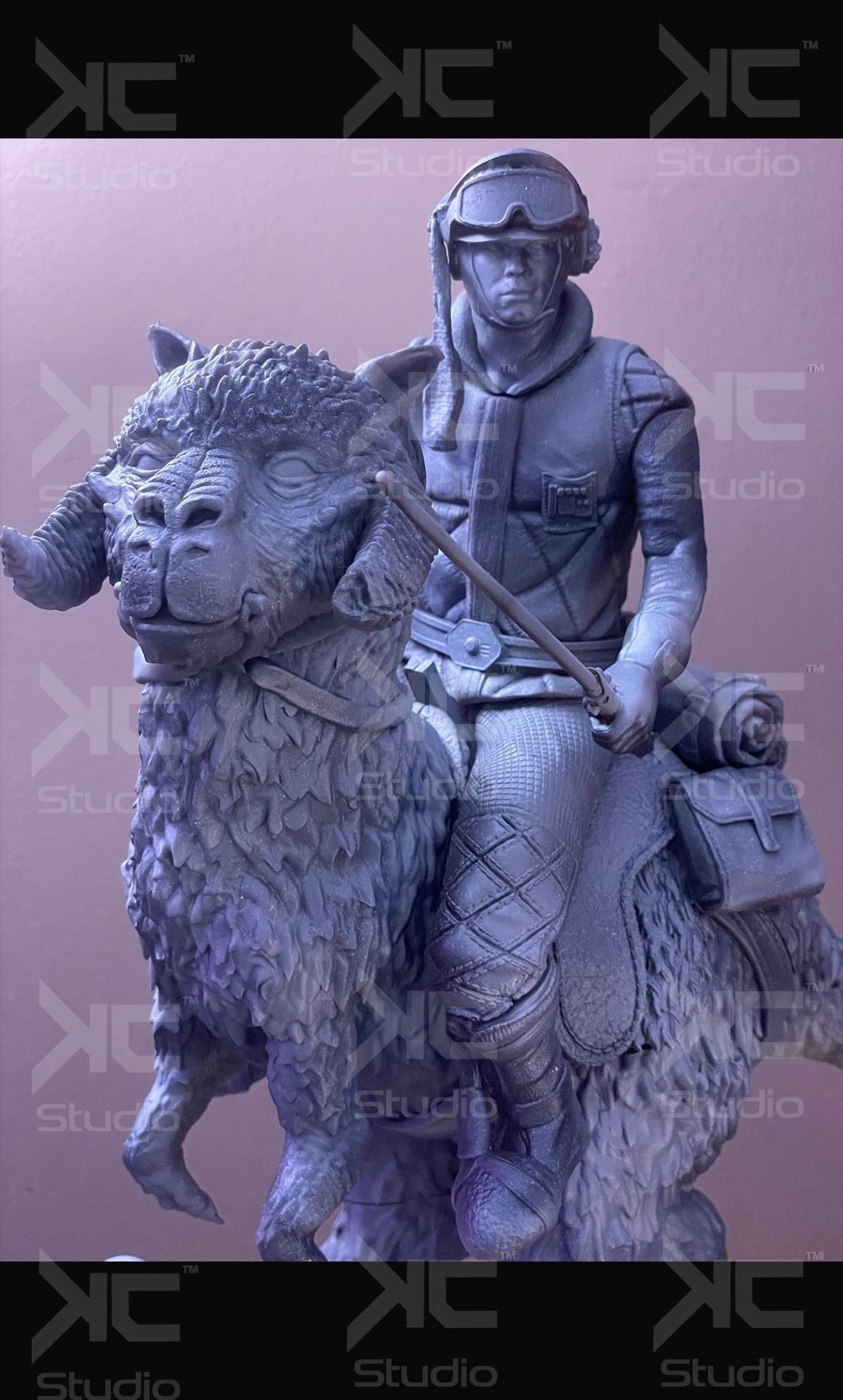 Luke Skywalwer on Tauntaun - Image 6