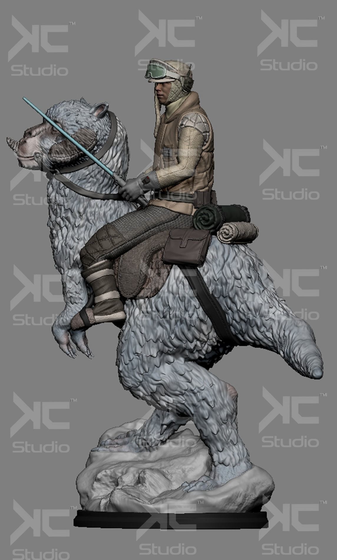 Luke Skywalwer on Tauntaun - Image 9