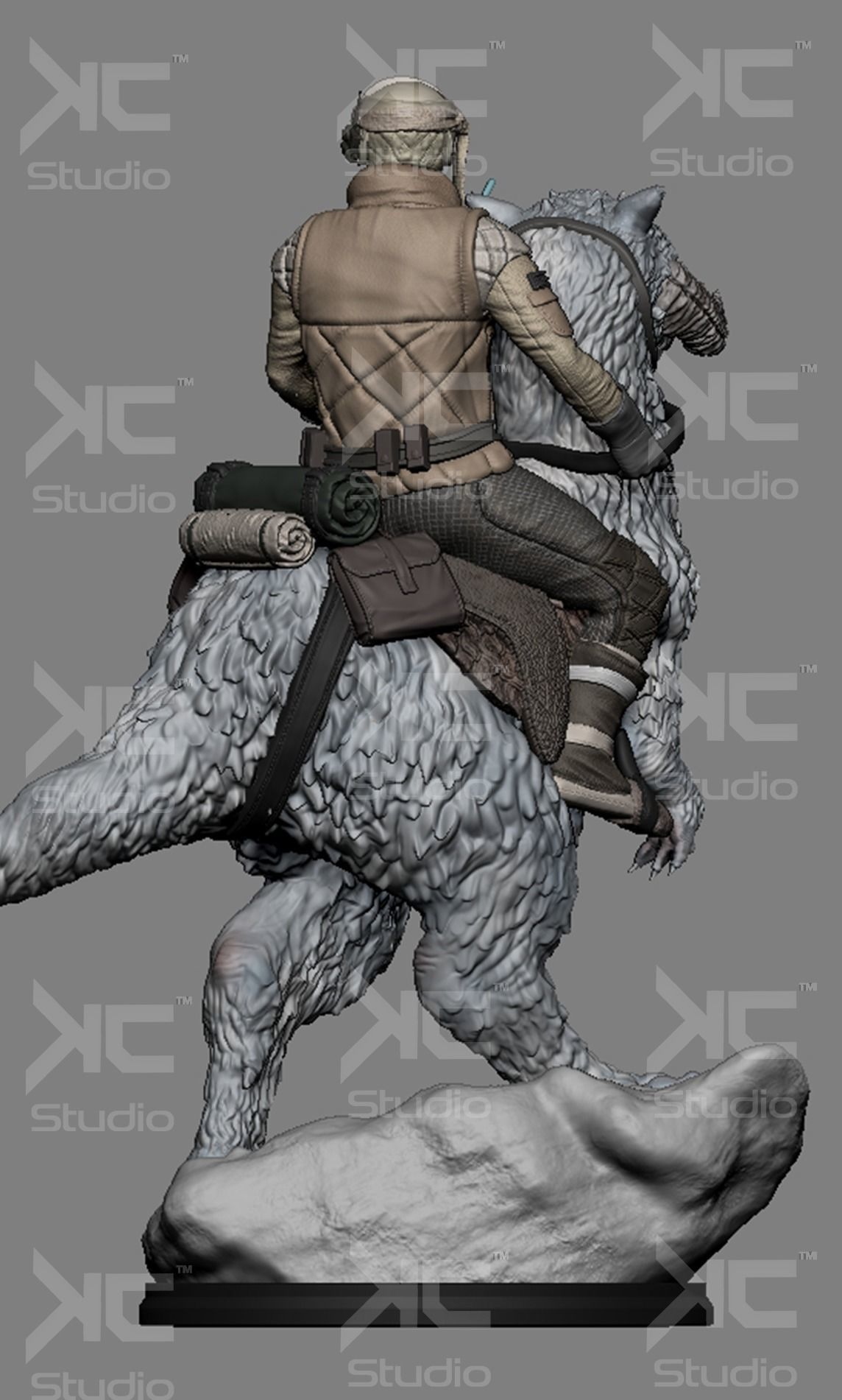 Luke Skywalwer on Tauntaun - Image 11