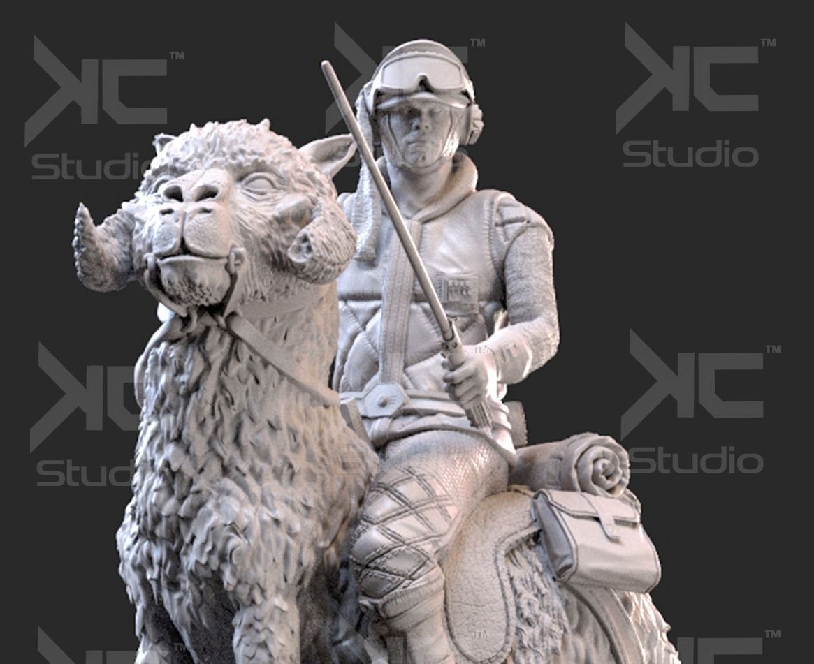 Luke Skywalwer on Tauntaun - Image 15