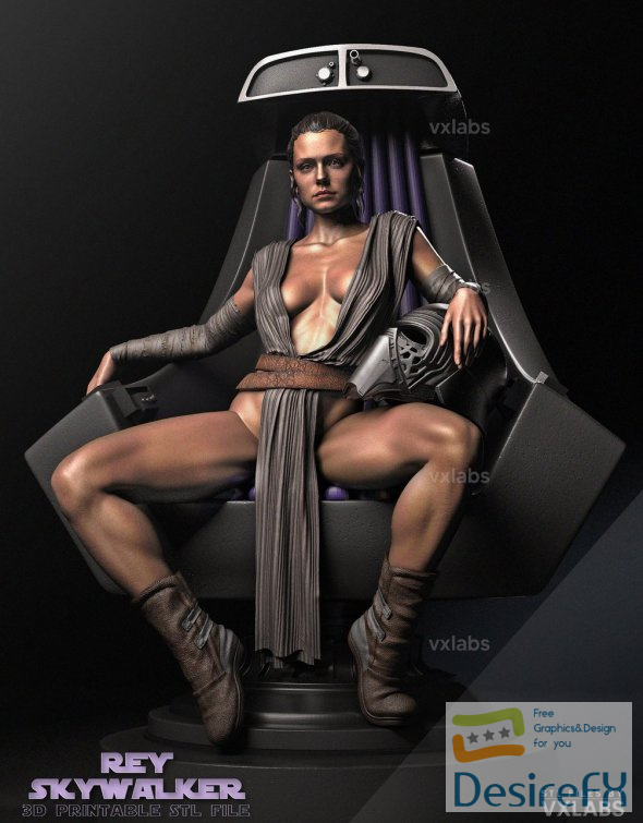 Rey-Skywalker - Image 3