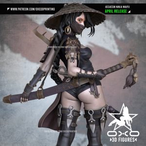 Assassin Ninja Waifu – STL NSFW SFW 3D print model