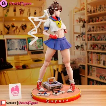 SAKURA STREET FIGHTER - Image 17