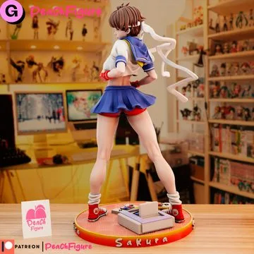 SAKURA STREET FIGHTER - Image 19