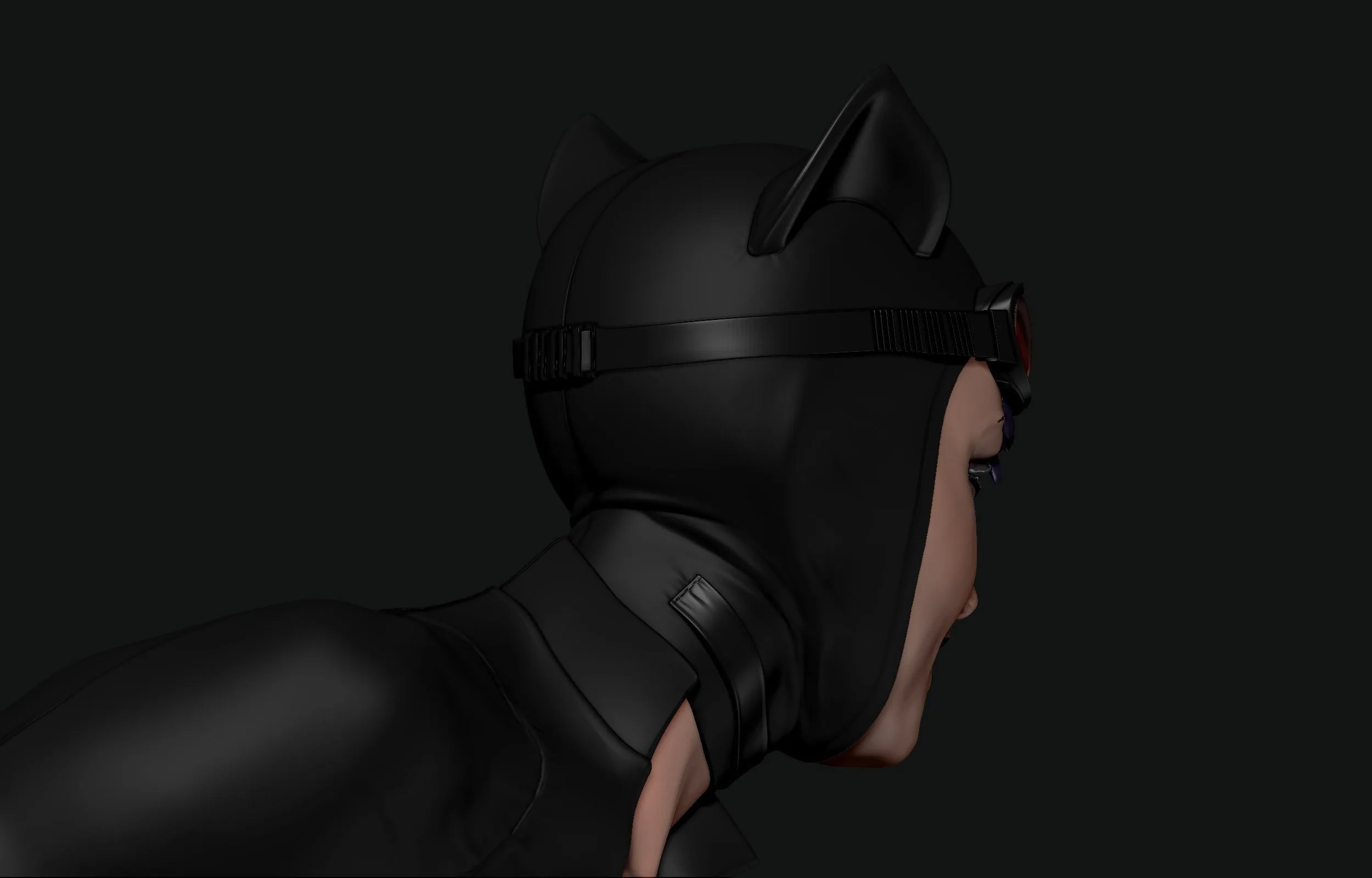 Catwoman - Image 10
