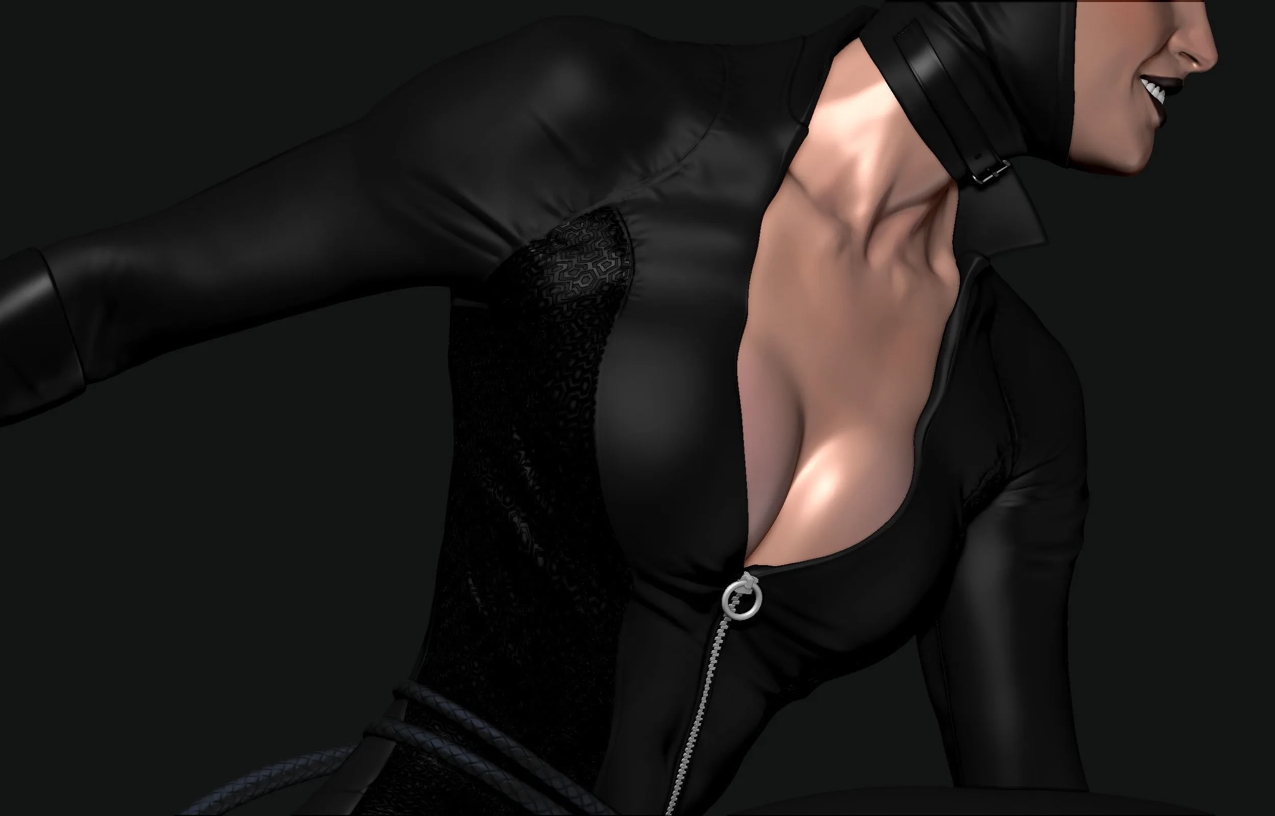 Catwoman - Image 13