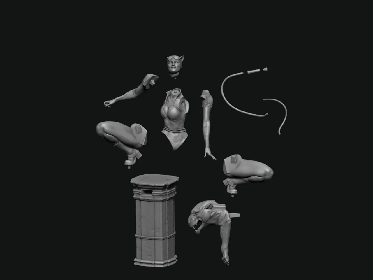 Catwoman - Image 19