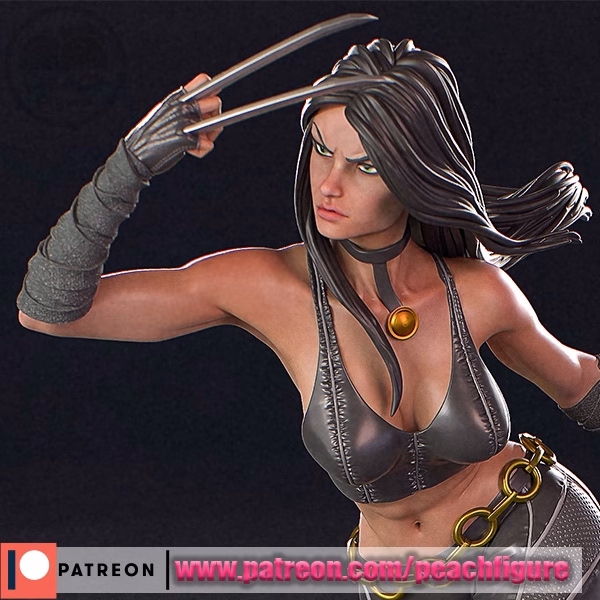 X23 - Image 2