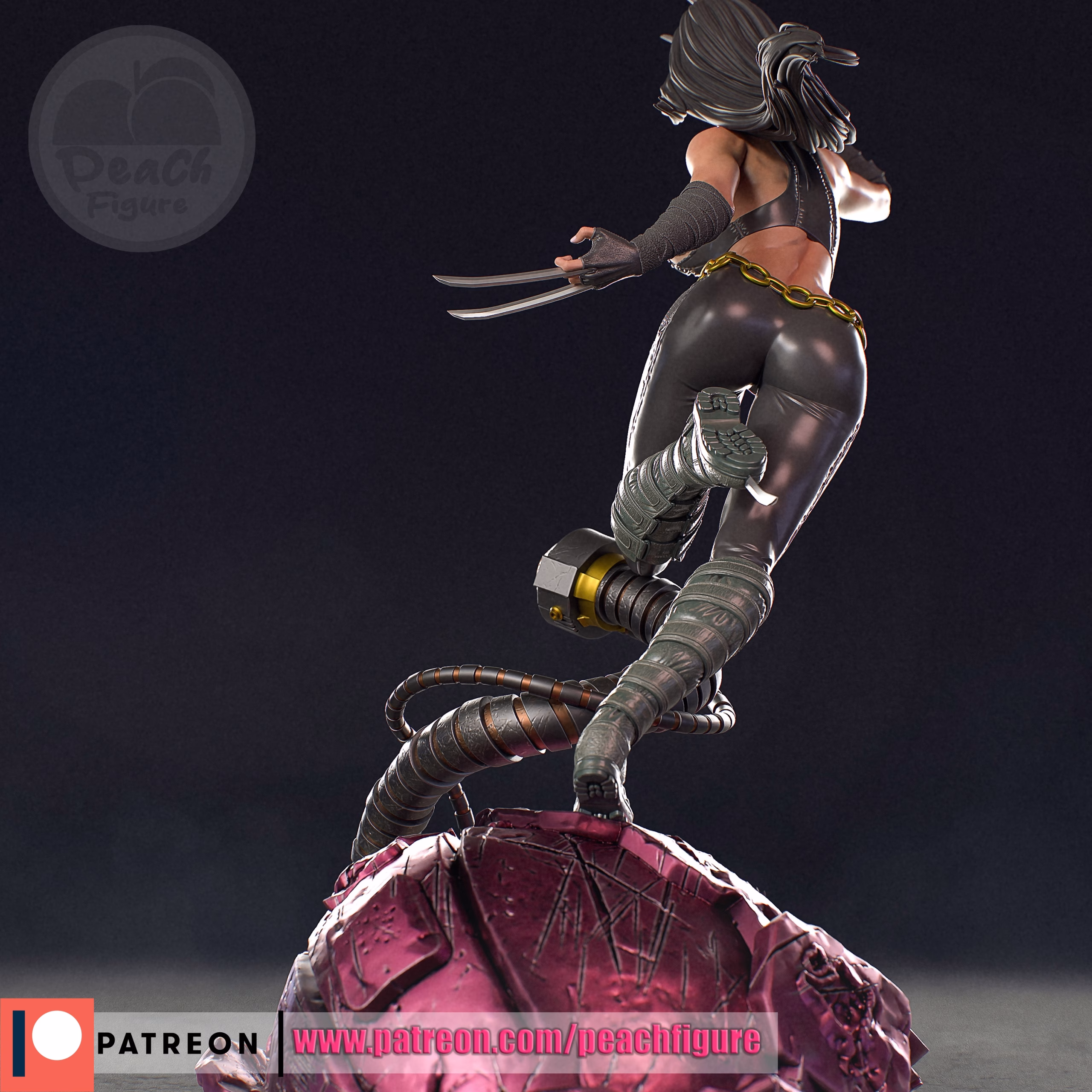 X23 - Image 5