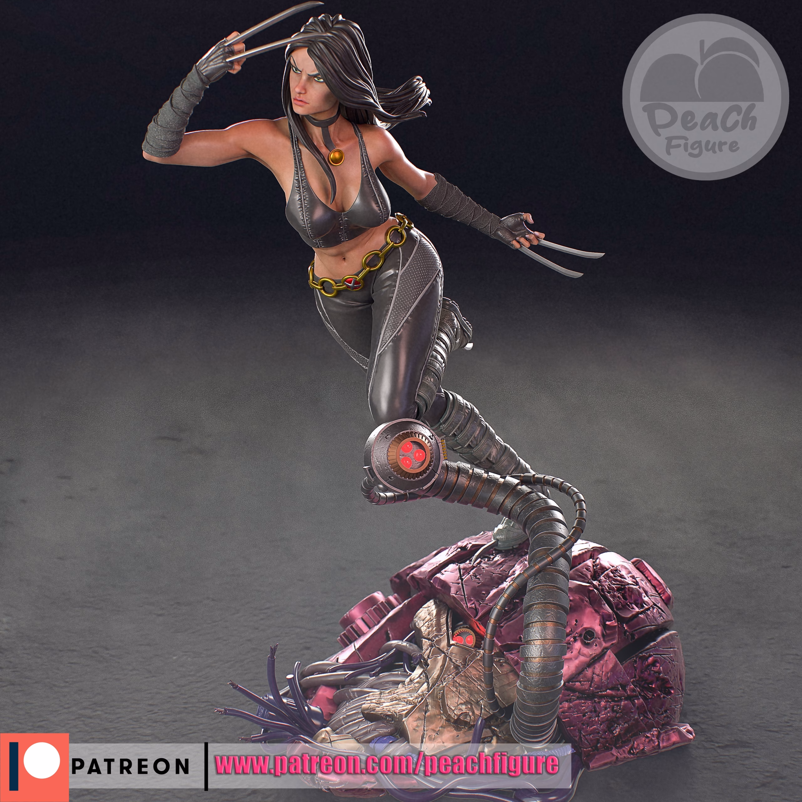 X23 - Image 9