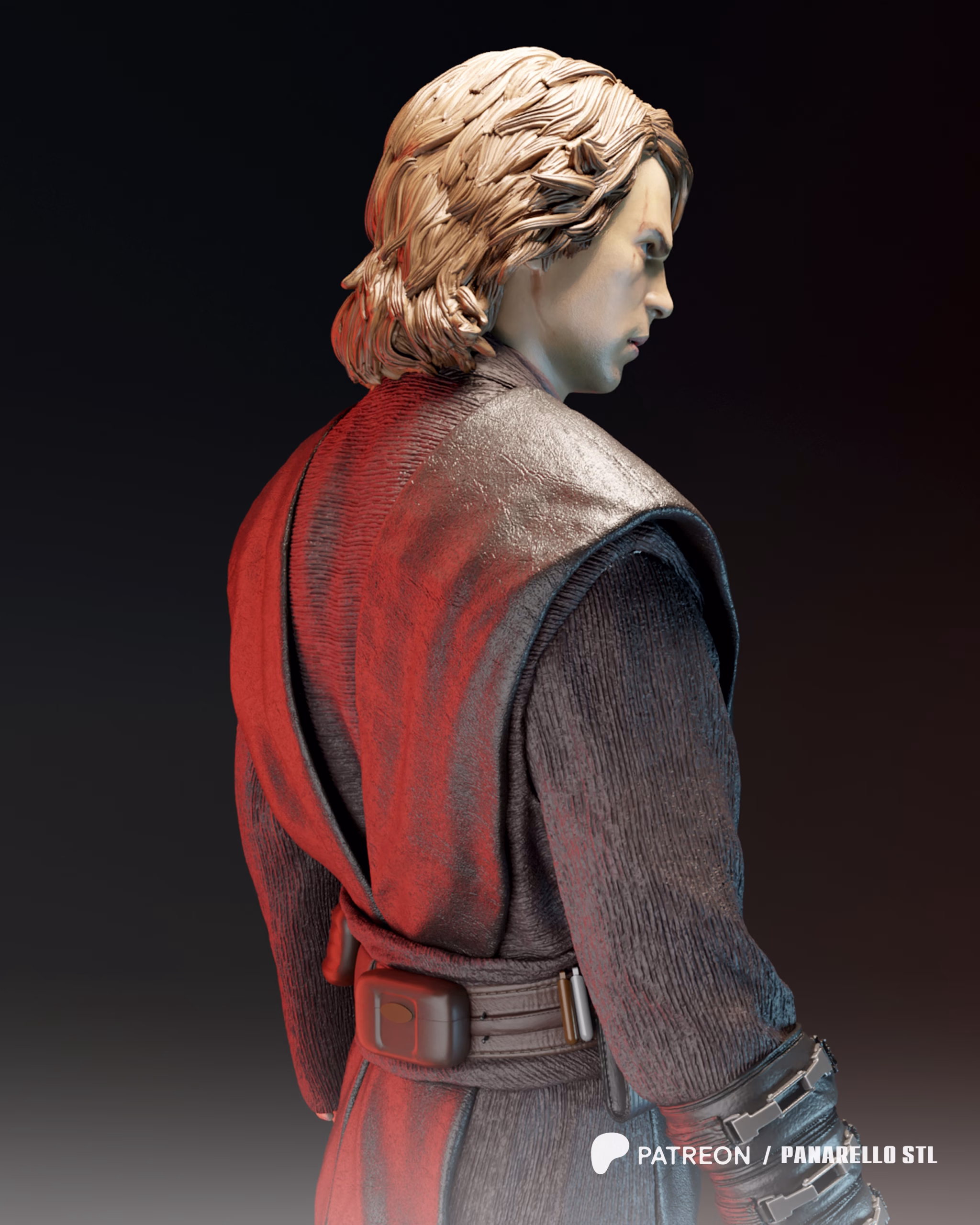 Anakin - Image 10