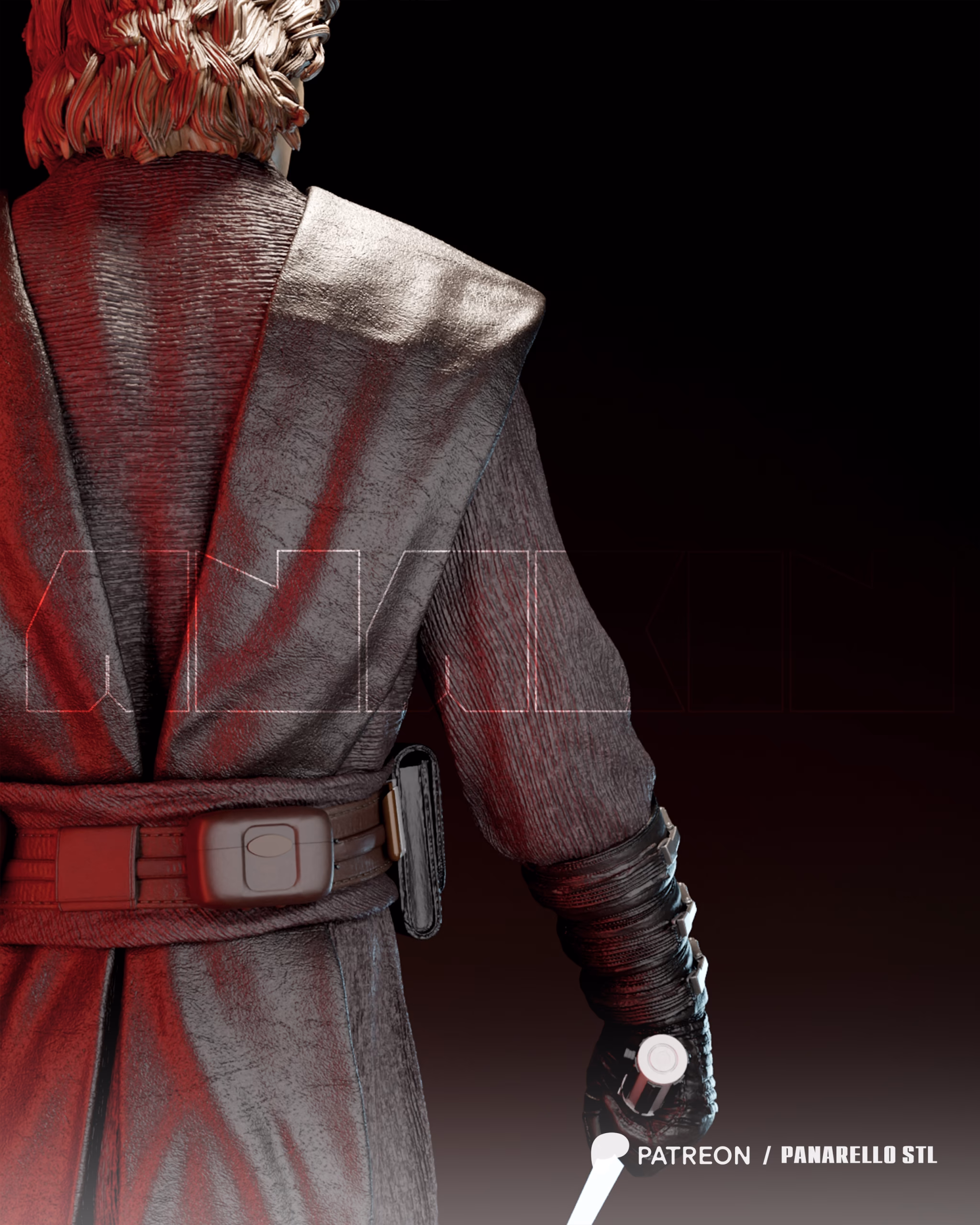 Anakin - Image 18