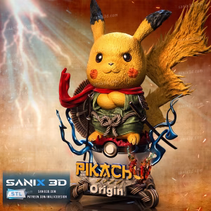 Pikachu Pokemon