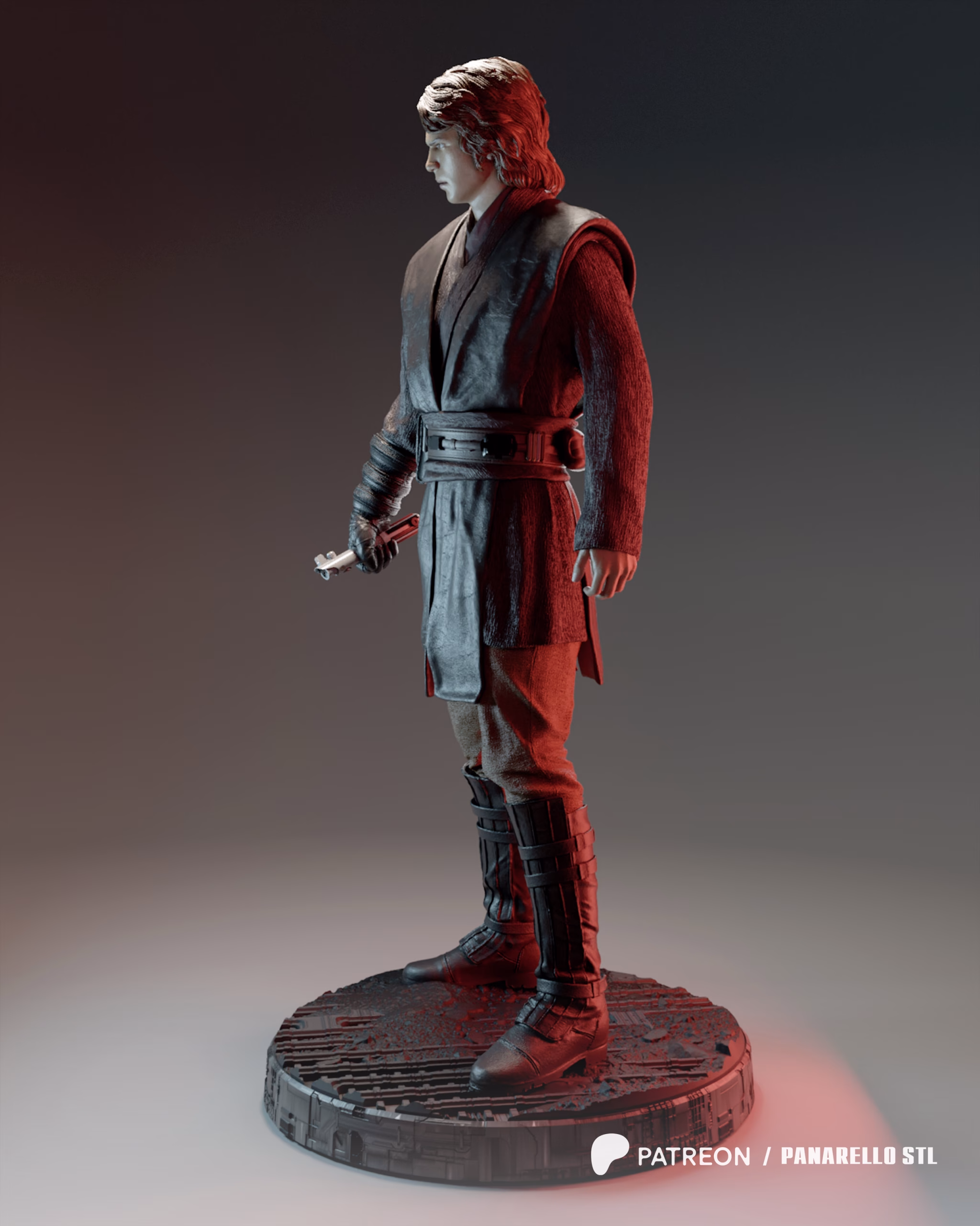 Anakin - Image 5