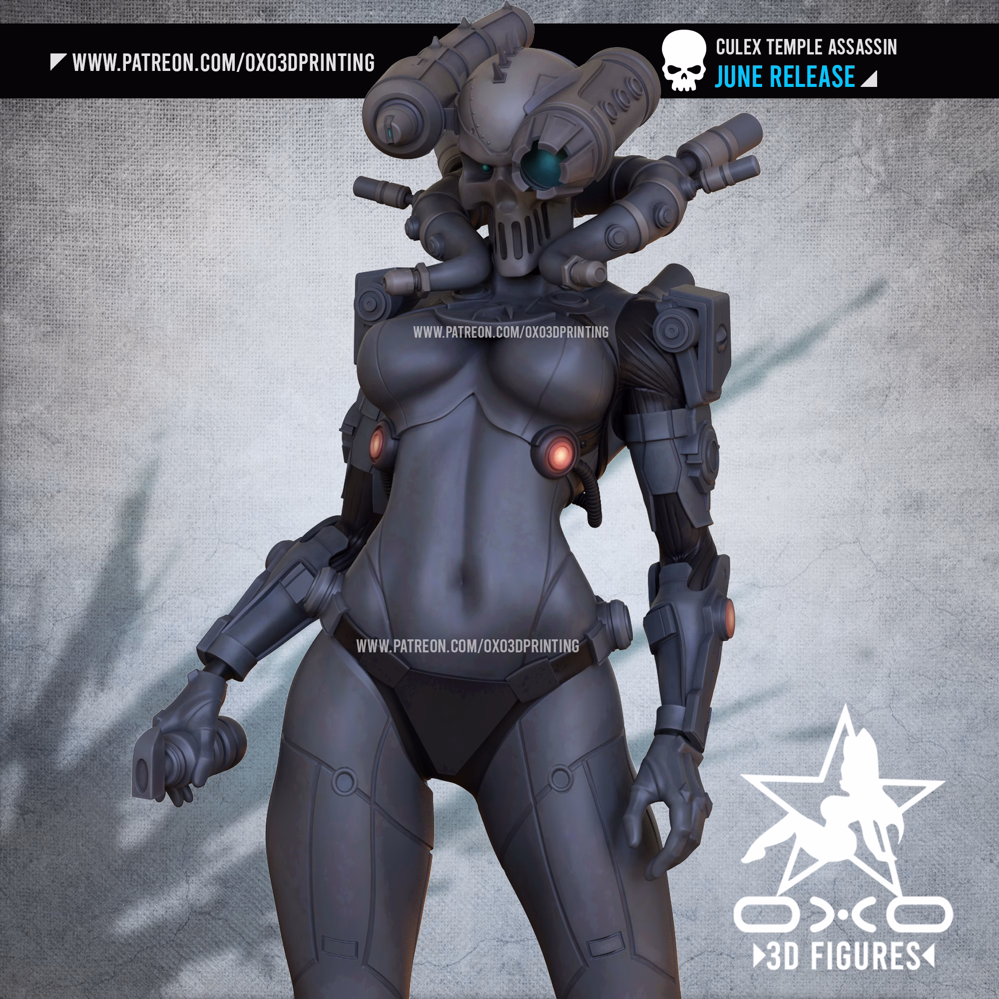 Culex Assassin SFW - NSFW - Image 6