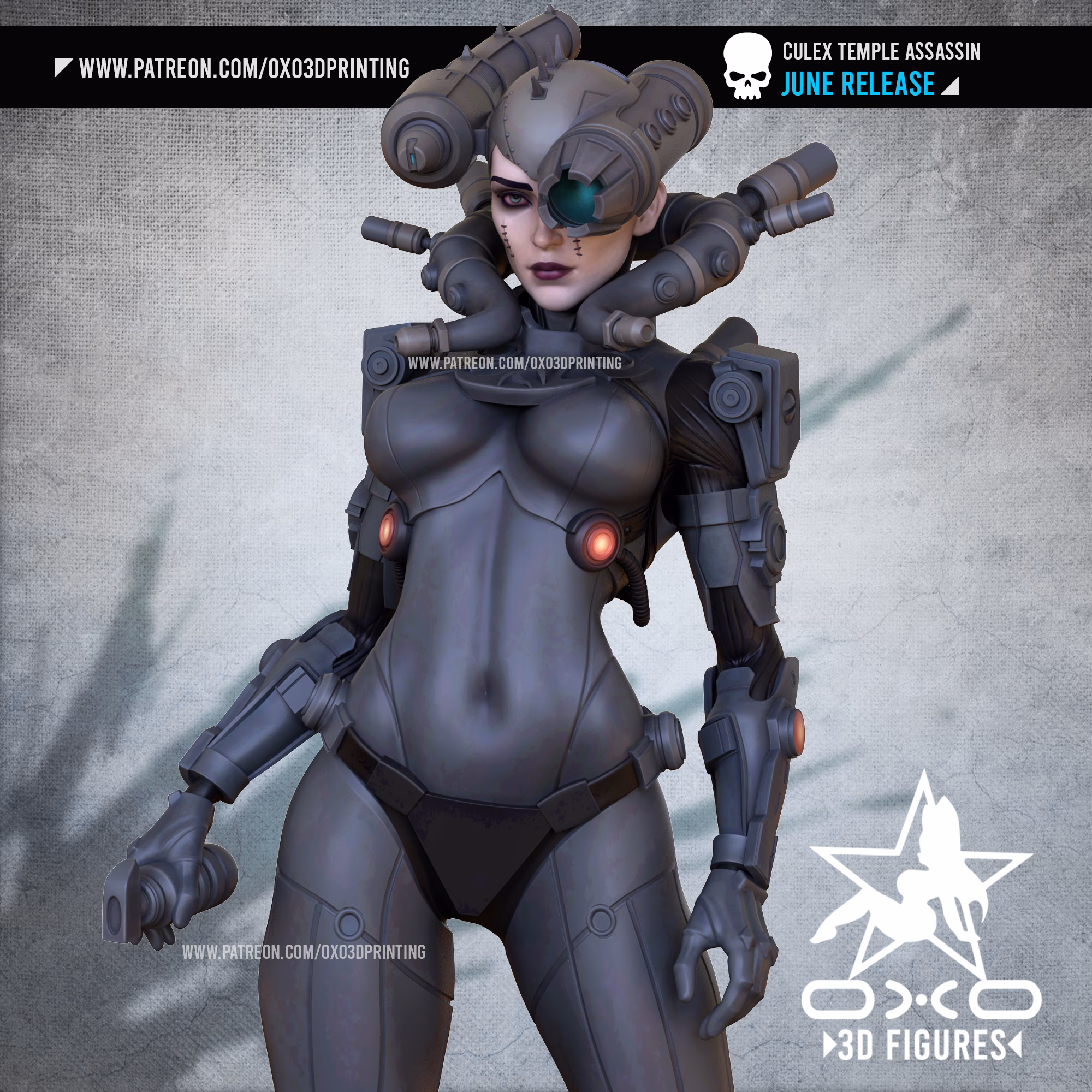 Culex Assassin SFW - NSFW - Image 10
