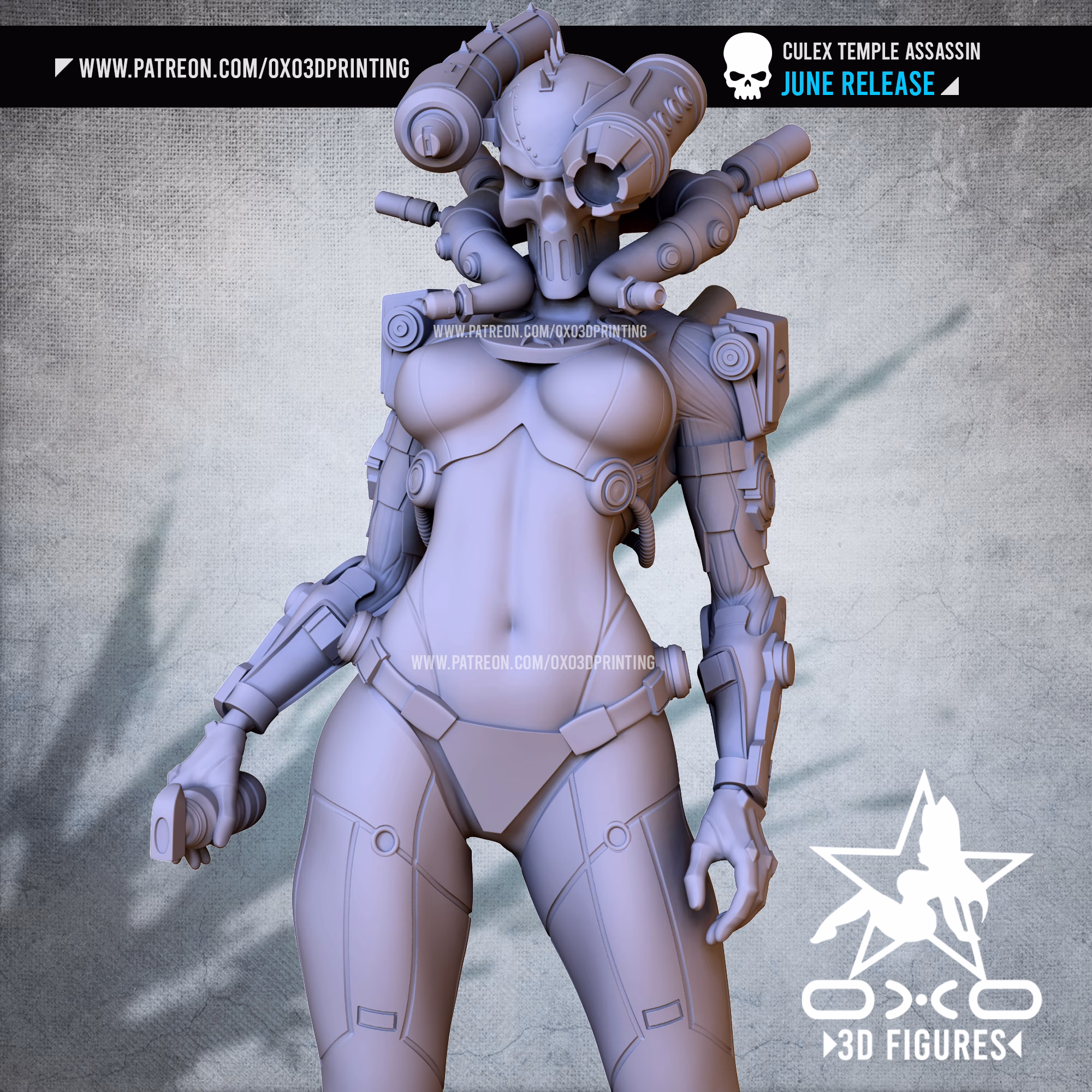 Culex Assassin SFW - NSFW - Image 12