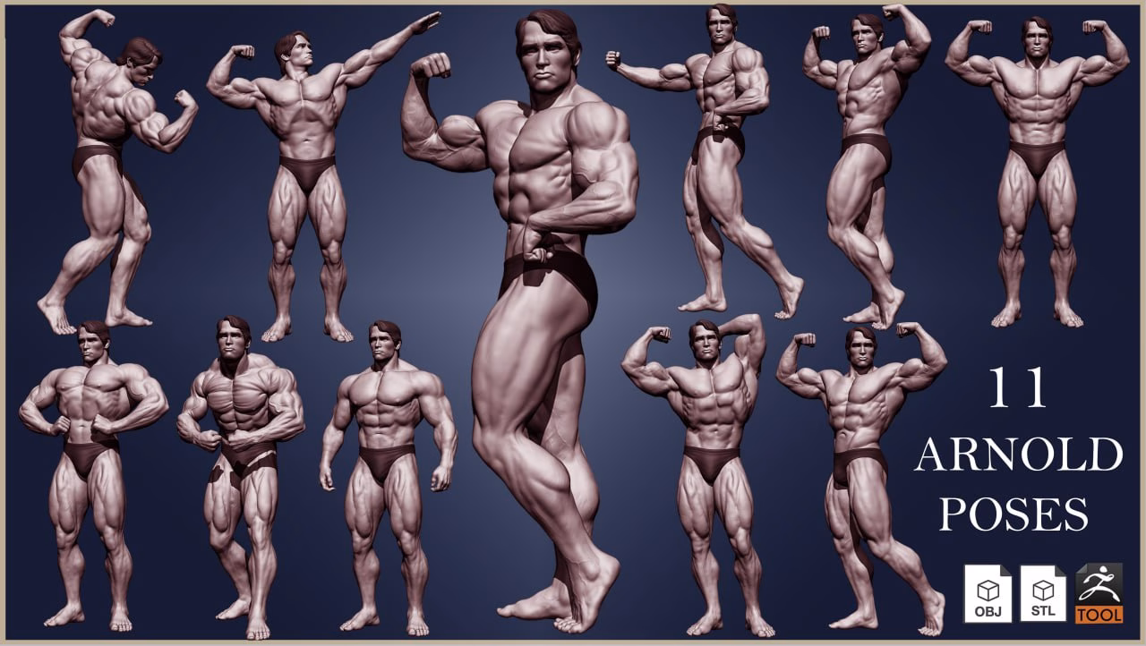 Arnold Schwarzenegger - Image 3