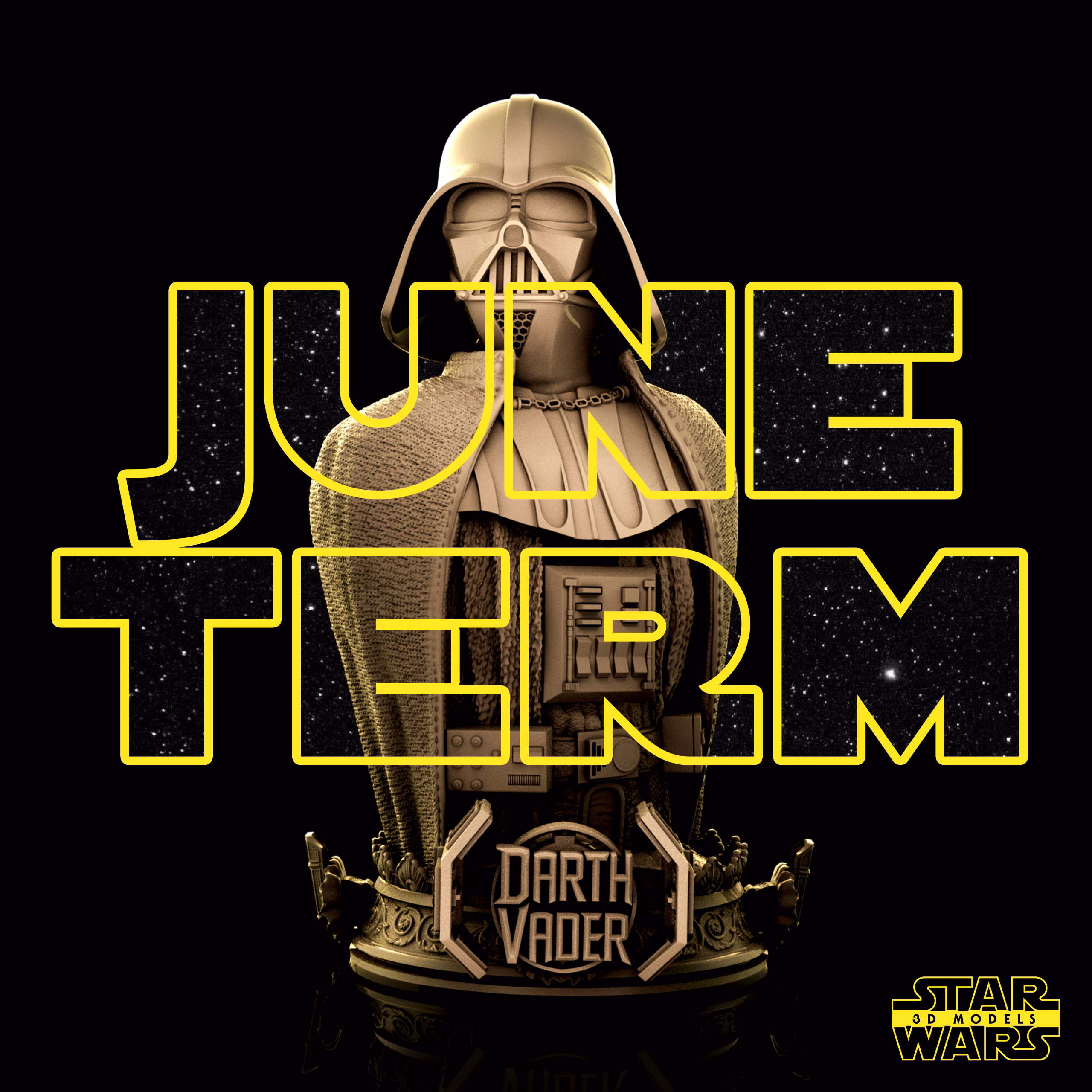 Darth Vader Bust - Star Wars (Verified) - Image 3
