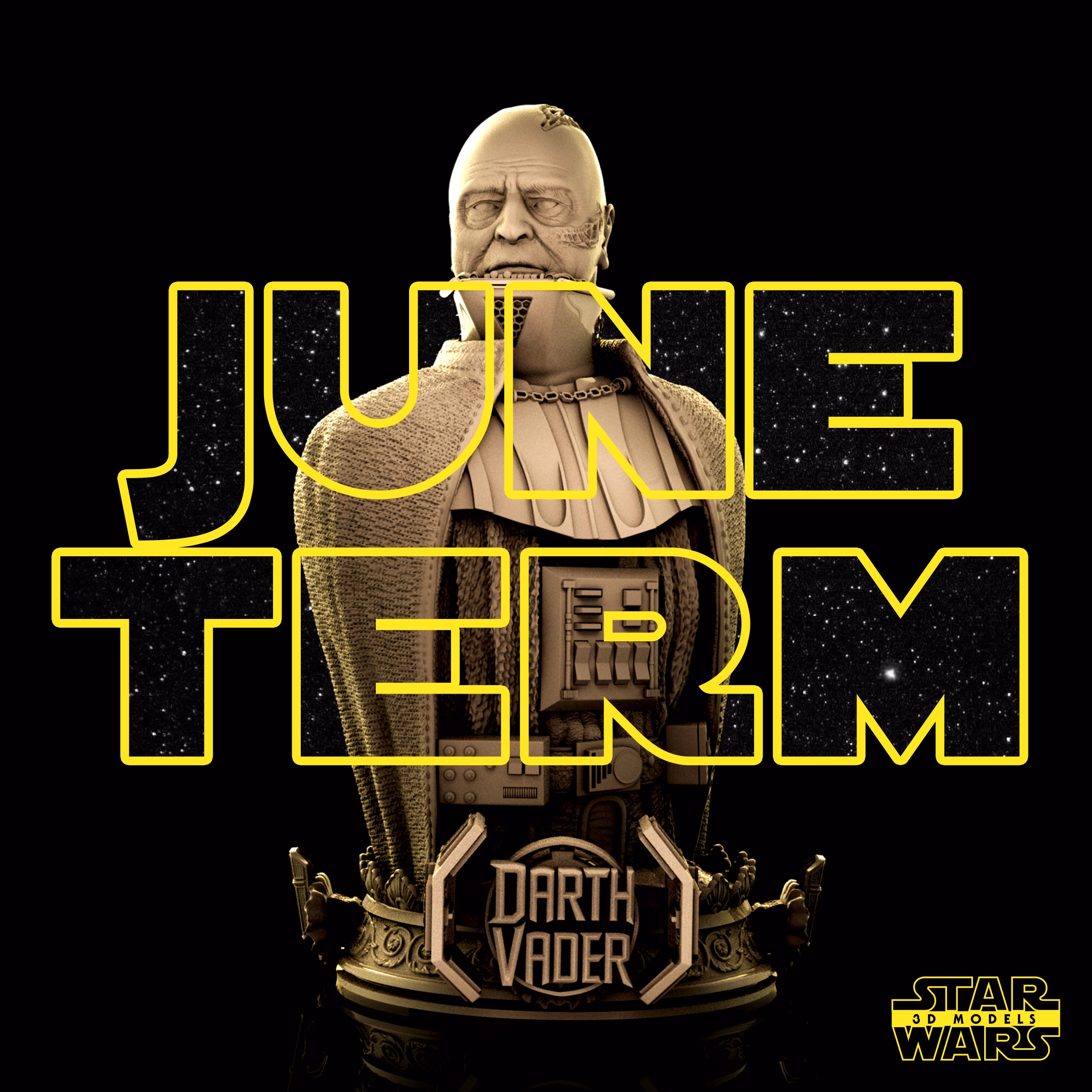 Darth Vader Bust - Star Wars (Verified) - Image 4