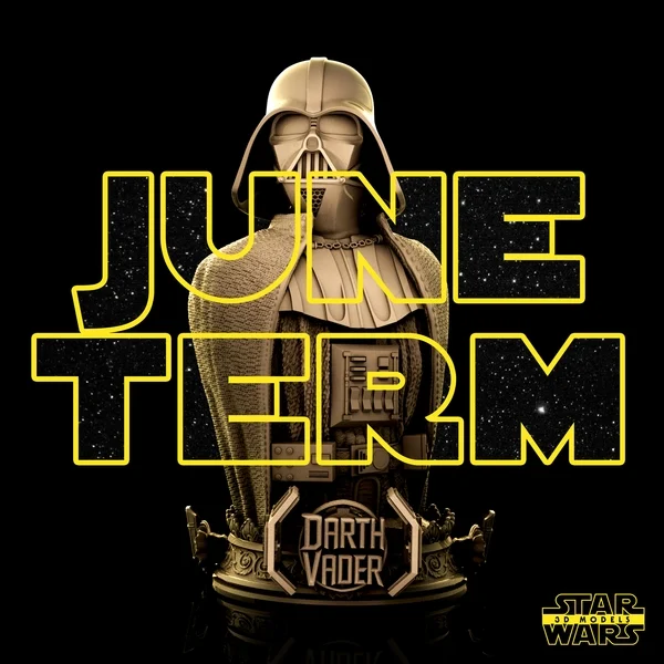 Darth Vader Bust - Star Wars (Verified) - Image 2