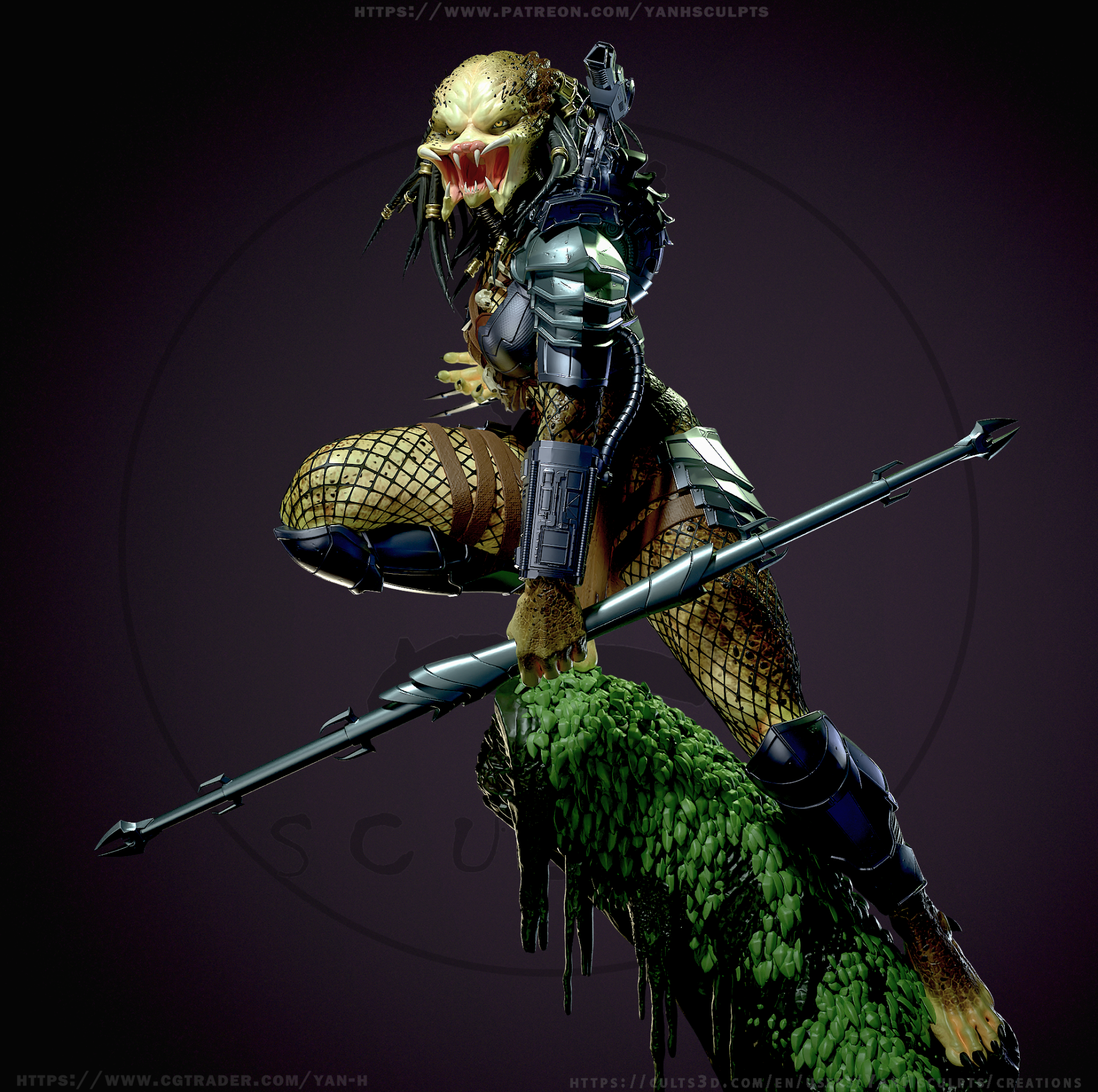 Predator female - Image 6