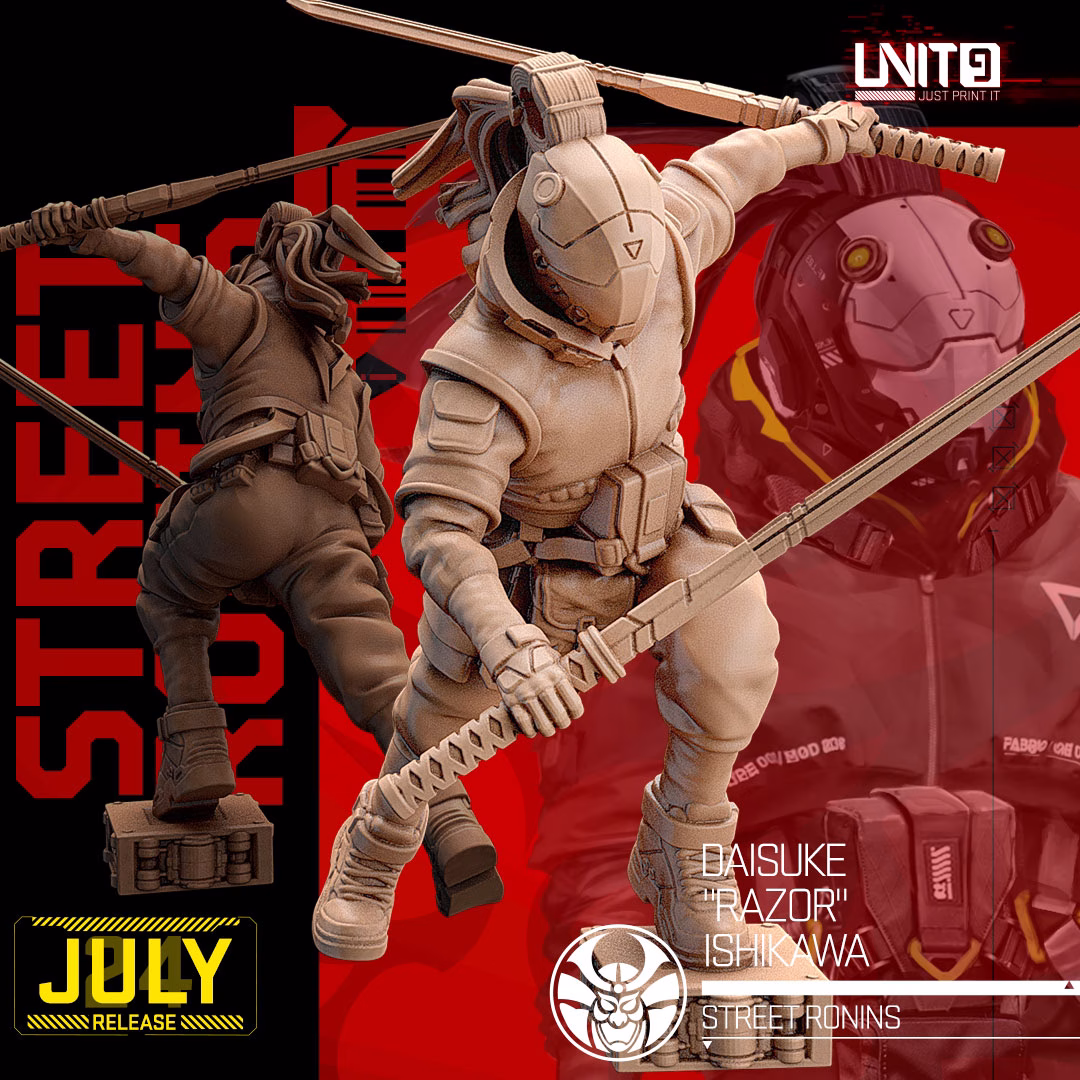 Cyber Ronin PACK - Image 3